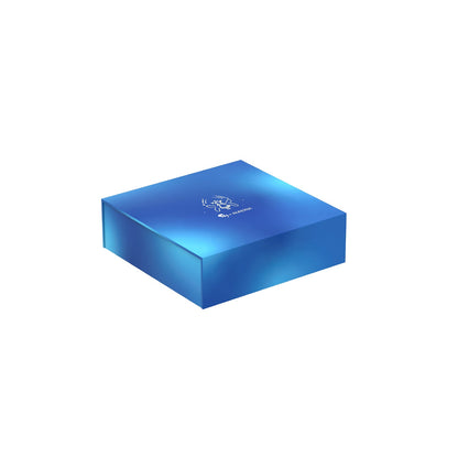 Sky x AURORA Keychain