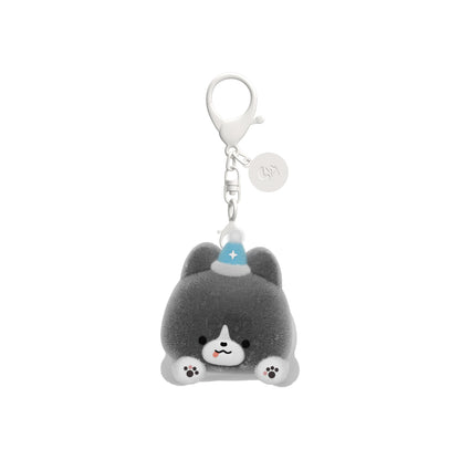 5주년 기념 박스